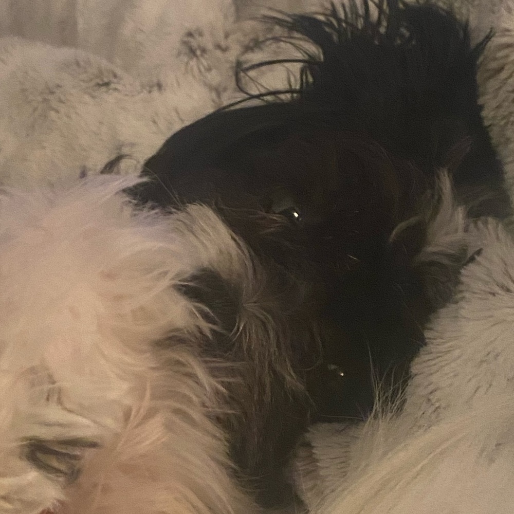 Meet your Posher, Makayla